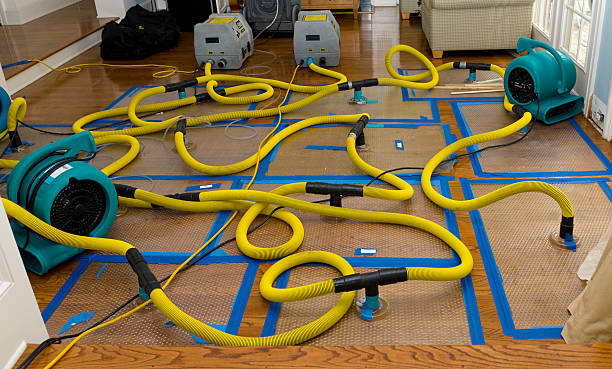 Professional Flood Damage Restoration technician working in Bremen, AL